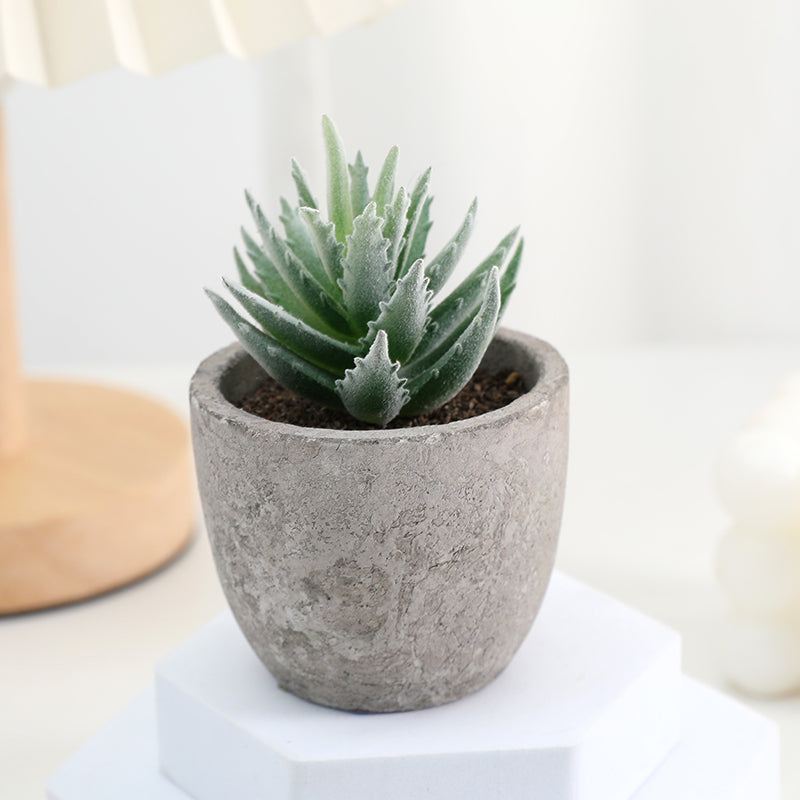Plastiksukkulenten in einem Betontopf